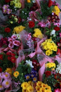 12647898_938152279596172_1164041143_n