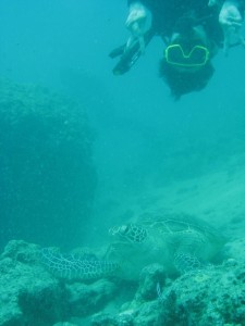 12654479_936716893073044_1111034971773450378_n