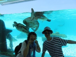 12657184_936720123072721_1228777116016284563_o