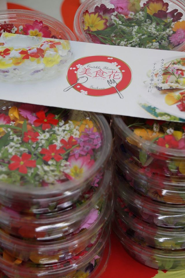 東京のイベントに向けて出発☆