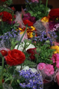 12660247_938152366262830_1777148548_n