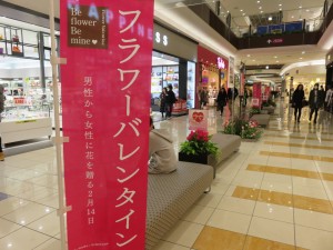 12669788_941432529268147_1984587506_o