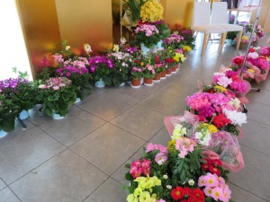 12669904_938686996209367_786816964_o