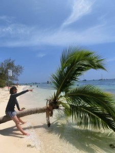 12670172_936709773073756_8050028778012093272_n