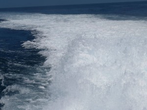 12672050_936719546406112_3161865652956170761_o