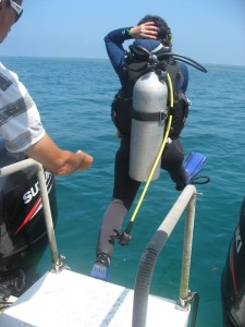 12687801_936716653073068_149131603165112917_n