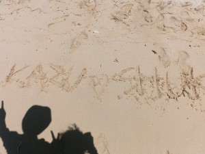 12694859_936709893073744_3499801212483558106_o