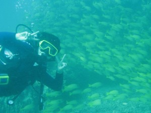 12694901_936716586406408_2835067574189581616_o