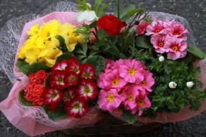 12695238_938152272929506_1185602437_o