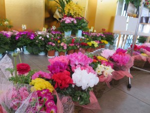 12695317_938686976209369_1027675643_o