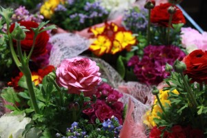 12695447_938152256262841_975646933_o