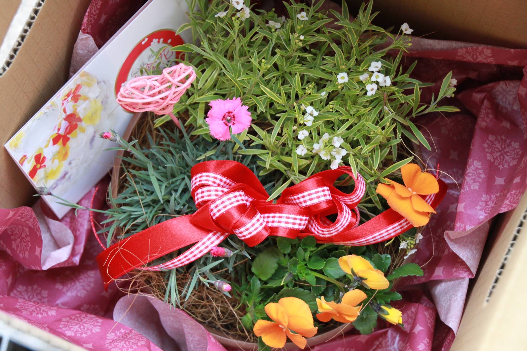 バレンタインにお花の贈り物