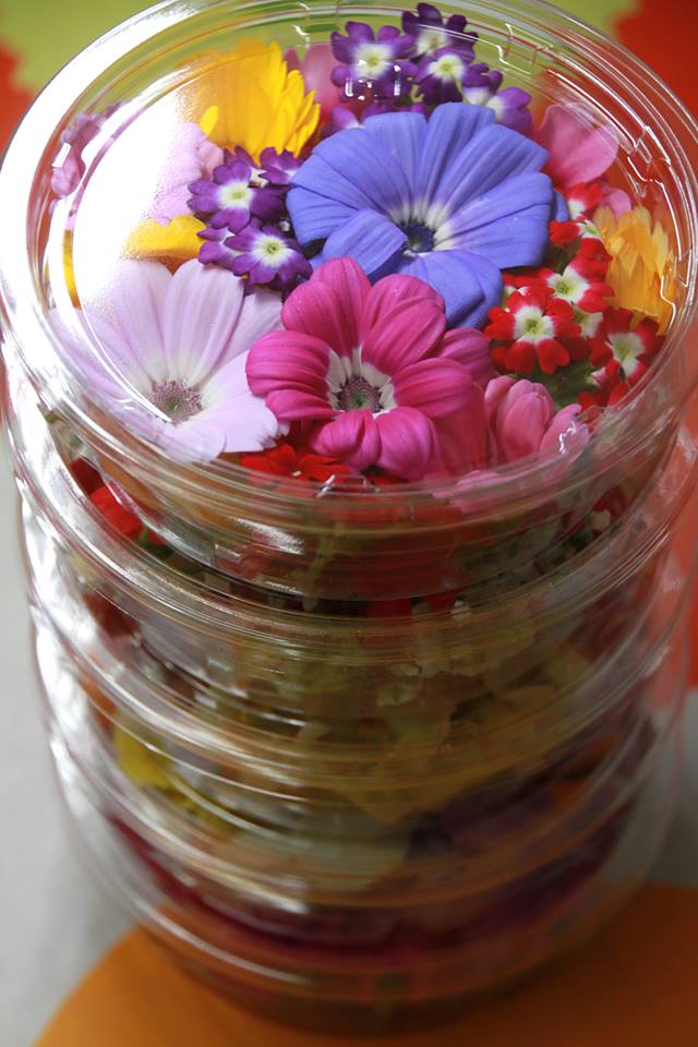 エディブルフラワー「美食花」も春模様♪