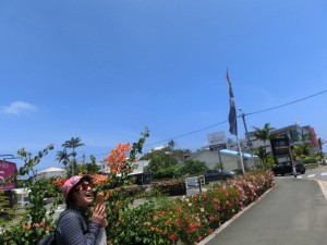 12697334_936710366407030_5925054810151929482_o