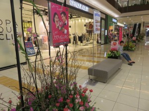 12699045_941432512601482_795544163_o