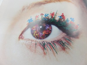 12699104_943897605688306_231257508_o