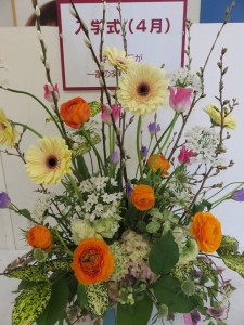 12721571_941432609268139_1542869874_n