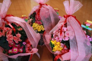 12722177_945850418826358_676724703_o