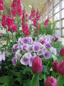 12735724_945889598822440_1162442015_n