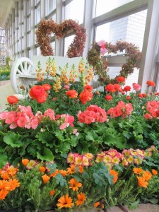 12736400_945889562155777_176475451_n