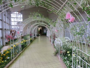 12736706_945889498822450_14808017_o