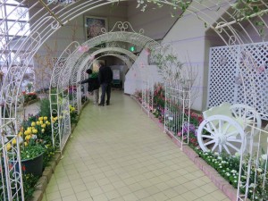 12736716_945889505489116_1108292258_o