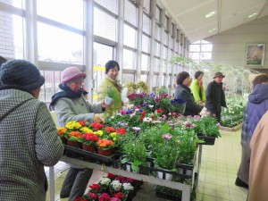 12736986_945889458822454_672478536_o