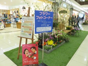 12737115_941432555934811_1941308749_o