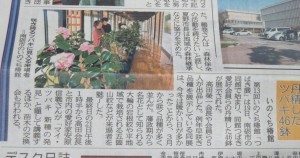 12747851_945772585500808_6686189038105483491_o