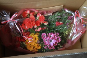 12751929_942391945838872_1923029885_o