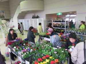 12755425_945889438822456_1778727783_o