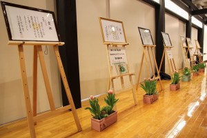 12764769_950874774998205_2850151962515514461_o