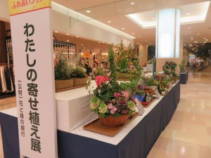 12765538_949845175093549_1976104280_o