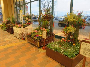 12773130_949845188426881_1893246534_o