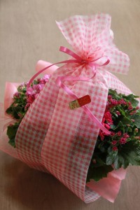 12784520_947802741964459_1475151827_n