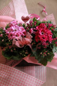 12784789_947802735297793_112089013_n