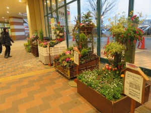 12788383_949845215093545_699339679_o