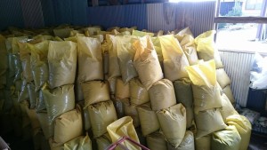 11330054_954826431262090_344539397_o