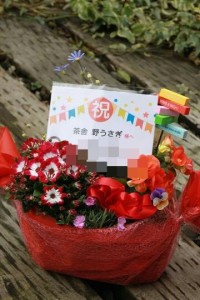 12071897_960200167391383_478286047_n