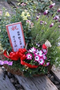 12083842_959834954094571_2033934372_n