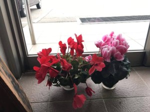 12422397_965394190205314_583500098_o