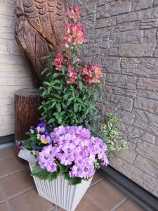 12596338_966239573454109_421295104_n