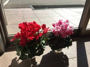 12674865_965394166871983_1592110922_o