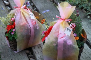 12675039_961785247232875_1606703080_o