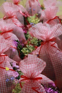 12772070_1572510499741876_5402380265305990206_o