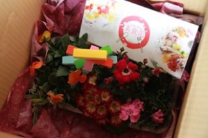 12788220_953860444692022_654195918_n