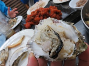 12790937_953615618049838_5930010840919968082_n