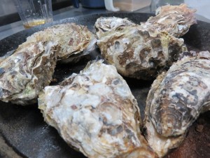 12791128_953615654716501_6803815740244274679_n