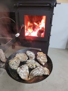 12800139_953615488049851_5760756960842392058_n