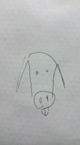 12804904_956759897735410_4470575097802608315_n